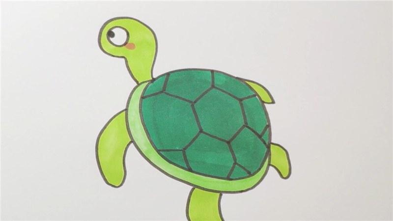 乌龟简笔画水珠图片
